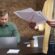 Best Practices in Procurement Work