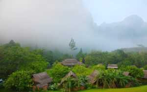 Kerala Tour: A Journey Through God’s Own Country