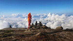 Kolkata to Corbett tour: Essential Travel Tips for a Smooth Trip
