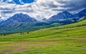 Road Tripping Through Mongolia: Routes, Tips & Sights
