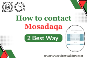 How to Contact Mosadaqa – Best Ways & Verification Guide
