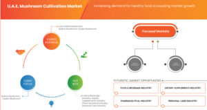Mushroom Cultivation in the U.A.E.: A Thriving Industry in the Desert