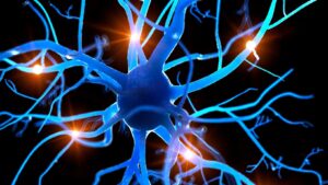 What Are the Top 3 Common Nervous System Disorders?