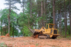 Professional Lot Clearing: Your First Step Toward Site Development