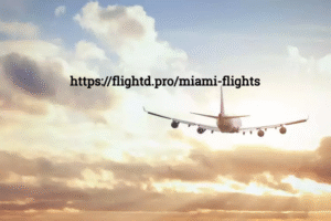 Take Advantage of the Best Prices on Flights to Miami with Flightd