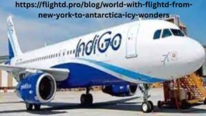 Explore the Edge of the World with Flightd