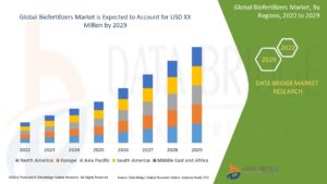 Biofertilizers Market: Driving Sustainable Agriculture and Global Food Security