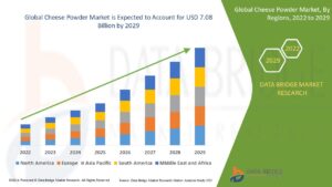 Cheese Powder Market Expands as Convenience Foods and Snack Innovation Fuel Demand