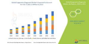 Epigenetics Diagnostic Market Advances with New Biomarker Discoveries and Diagnostic Tools
