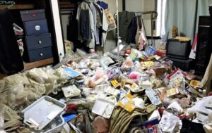 Safe Hoarding Cleanup: What You Should Know