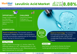 Levulinic Acid Market Insights: Demand, Share, and Key Players 2029