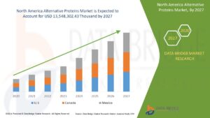 Alternative Proteins Gain Ground in America as Consumers Seek Sustainable and Plant-Based Nutrition Options