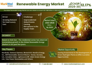 Renewable Energy Market Insights: Demand, Share, and Key Players 2030