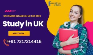 How much does it cost to study in the UK for Indian students after 12th