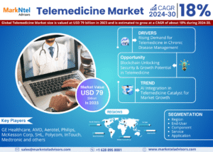Telemedicine Market Intelligence: Trends, Players, and Forecasts 2030