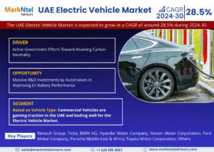 The UAE Electric Vehicle Market Study: Players, Share, and Emerging Trends 2030