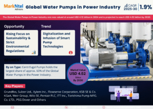Water Pumps in Power Industry Overview: Size, Value, and Forecast Outlook 2030