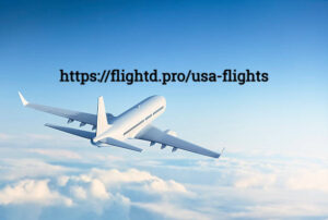 Find the Top Flights in the United States with Flightd