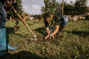 Tree Planting: Developing a Greener Future
