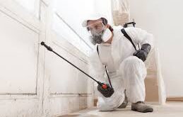 Mold remediation