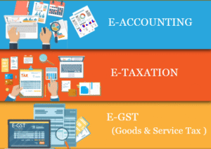 Tally with GST Course in Delhi, GST training Institute in Delhi