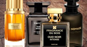 top 10 perfume brands for male