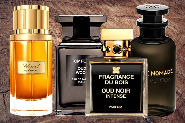 top 10 perfume brands for male
