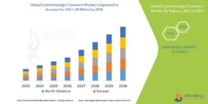 Rare Disease Focus Elevates Global Erythromelalgia Treatment Market Growth Prospects