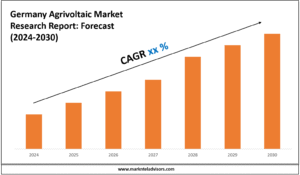 Germany Agrivoltaic Industry Analysis 2024–2030: Market Insights & Forecast