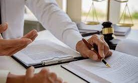 Legal Consultant