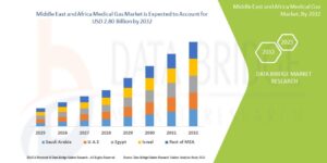 Rising Healthcare Infrastructure Fuels Growth in the Middle East and Africa Medical Gas Market