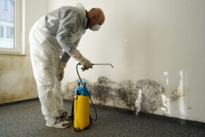 Restore Your Property Fast with Expert Water Damage Solutions