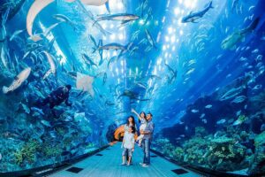 Dubai Unboxed: Discover the Magic, Majesty & Must-See Wonders with Dubai Tour Packages