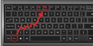 A Complete Guide to Different Types of Keyboards for Every User