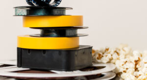 hydraulic oil seal