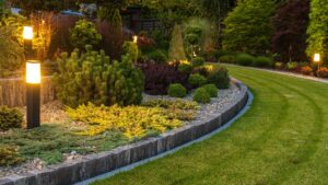 Choosing the Right Plants for Your Broadstone Garden: A Landscaping Guide
