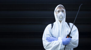 Local SEO for Pest Control
