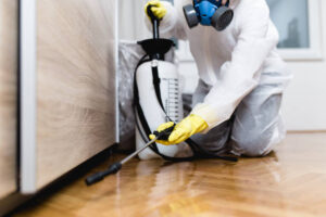 Top Benefits of Using a Pest Control Service Regularly?
