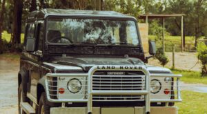 restored defenders