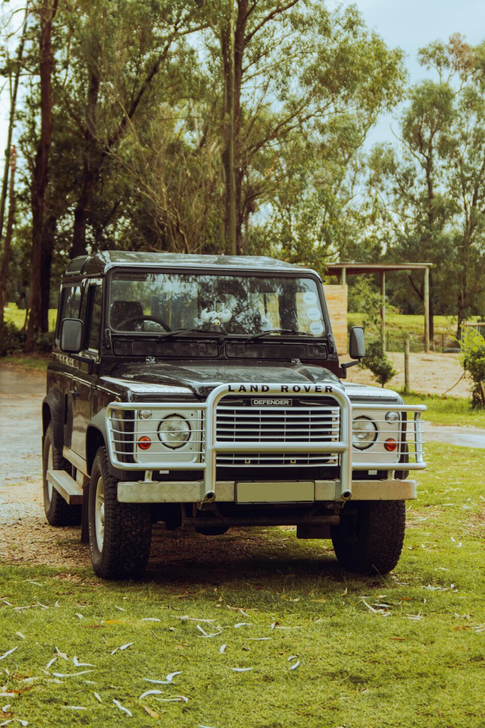 restored defenders