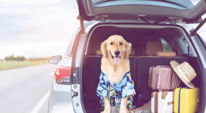 road trip to New England