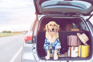 road trip to New England