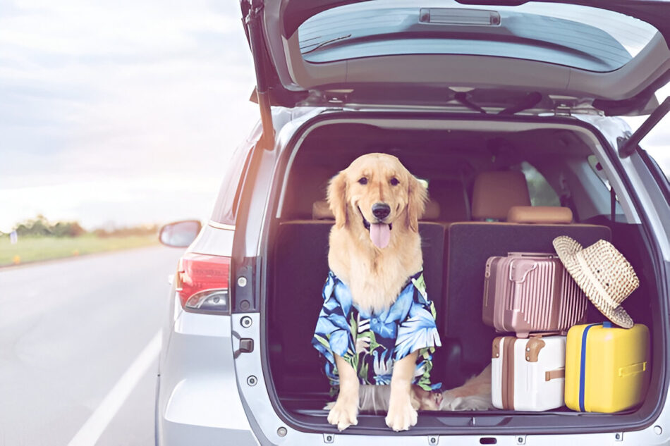 road trip to New England