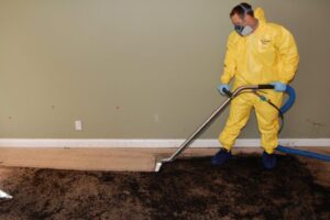 Effective Sewage Cleanup Tips for Safe and Quick Restoration
