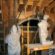 Sewage Backup Cleanup