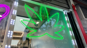 Cannabis Shops