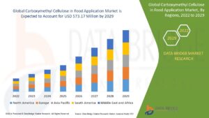 Carboxymethyl Cellulose in Food Application Market Leaders: Growth, Share, Value, Size, and Scope