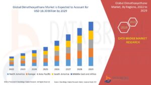 Dimethoxyethane Market Size, Share, Trends, Demand, Growth and Competitive Outlook