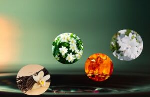 Victoria Secret Perfume