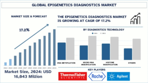 Epigenetics Diagnostics Market Growth, Analysis, Trends, Size and Forecast to 2033